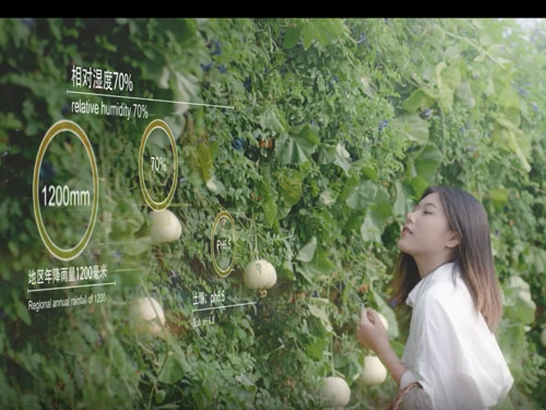 TVC 播商15S廣告(1)